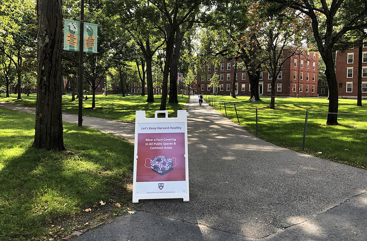 Harvard Yard Masks Sign