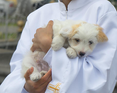 A minster holds a snuggly white puppy 