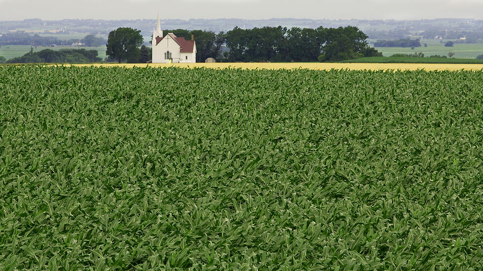 Iowa farm field